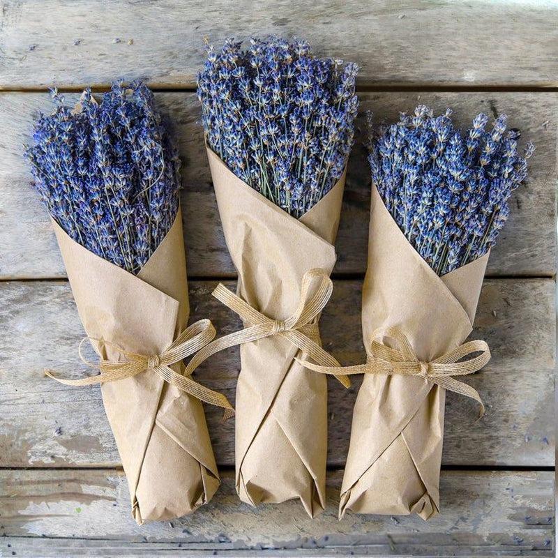 Dried Flowers & Leaves