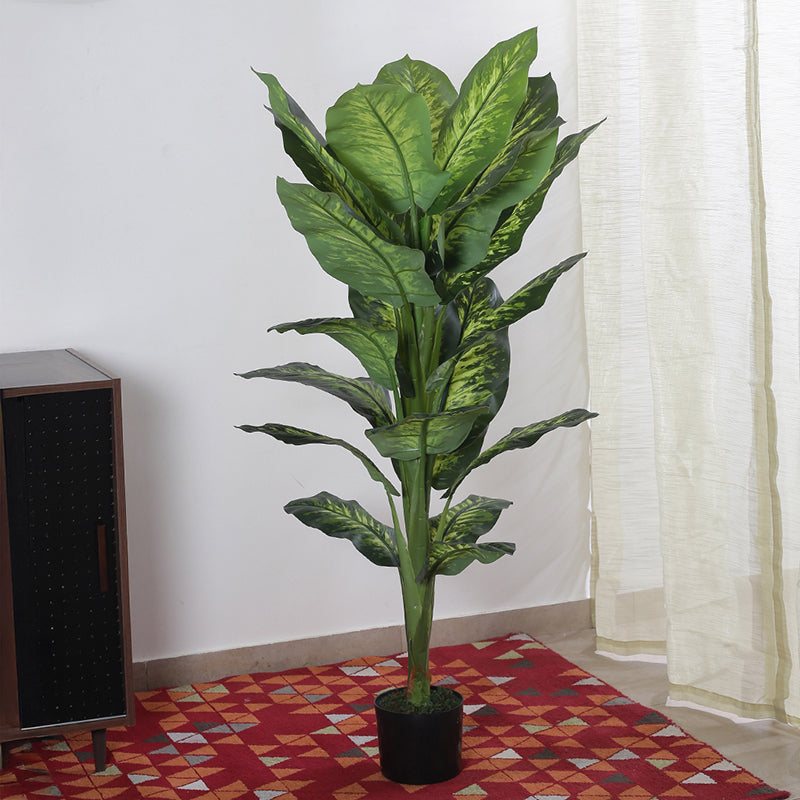 Faux Tuftroot Diffenbachia Plant With Black Plastic Pot - 4.59 ft media 3