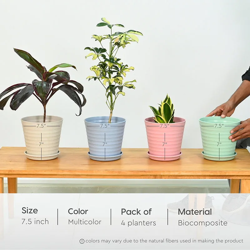 Botani Basin Pot - Set Of Four media 7