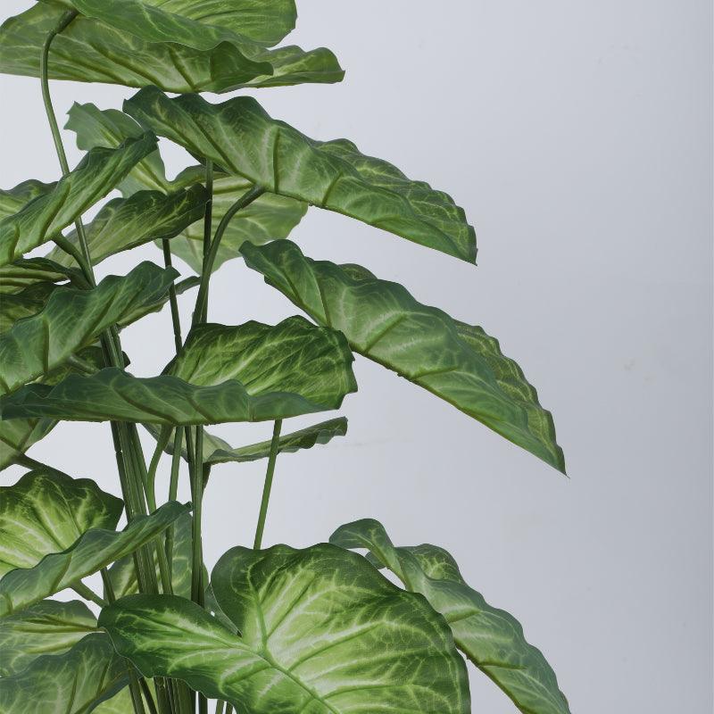 Faux Tropica Dumb Cane Plant With Black Plastic Pot - 2.13 ft media 5