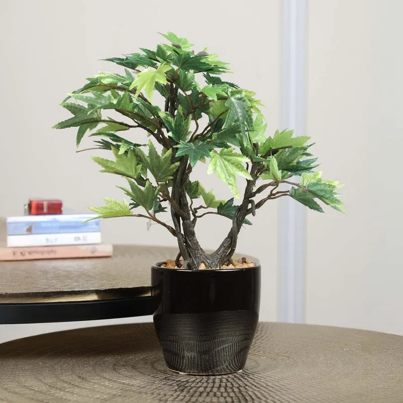 Artificial Green Maple Bonsai Plant With Ceramic Pot - 0.8 Feet media 1