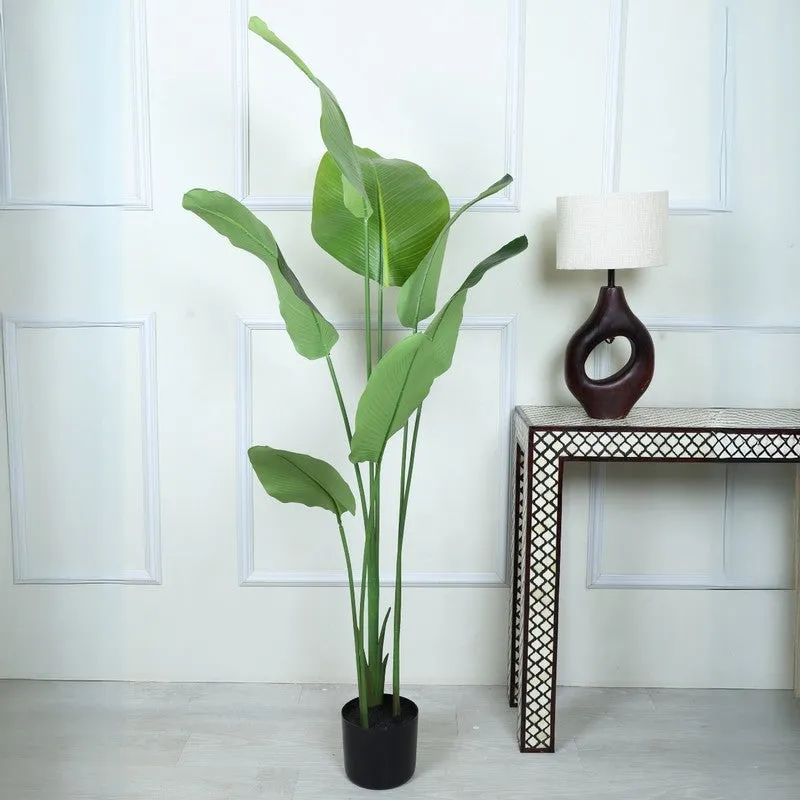 Paradise Artificial Plant With Black Fiber Pot - 5.2 Feet media 3