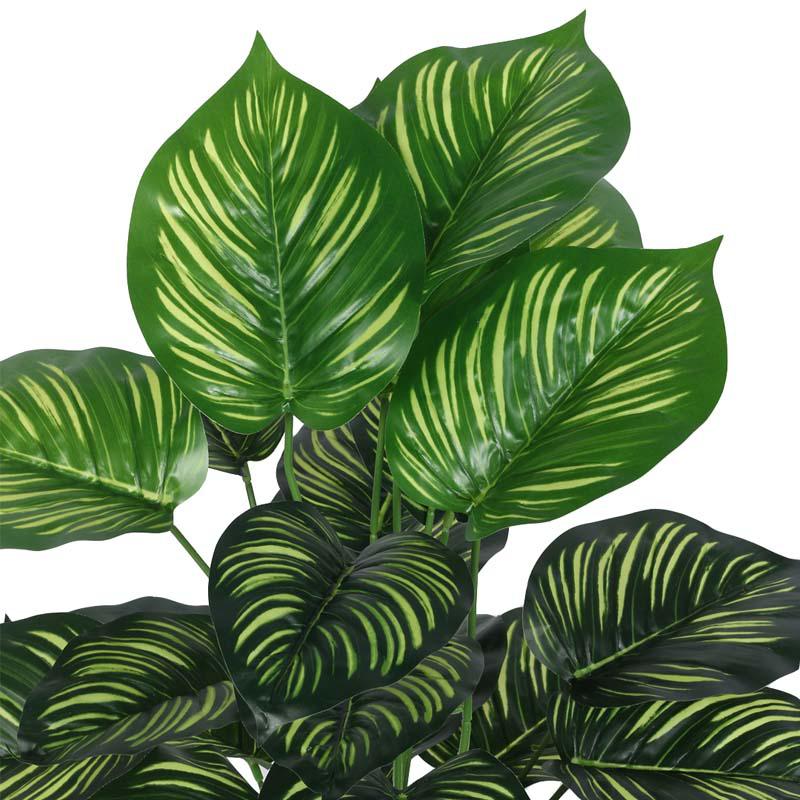 Faux Lush Peperomia Plant With Black Plastic Pot - 2.6 Feet media 5