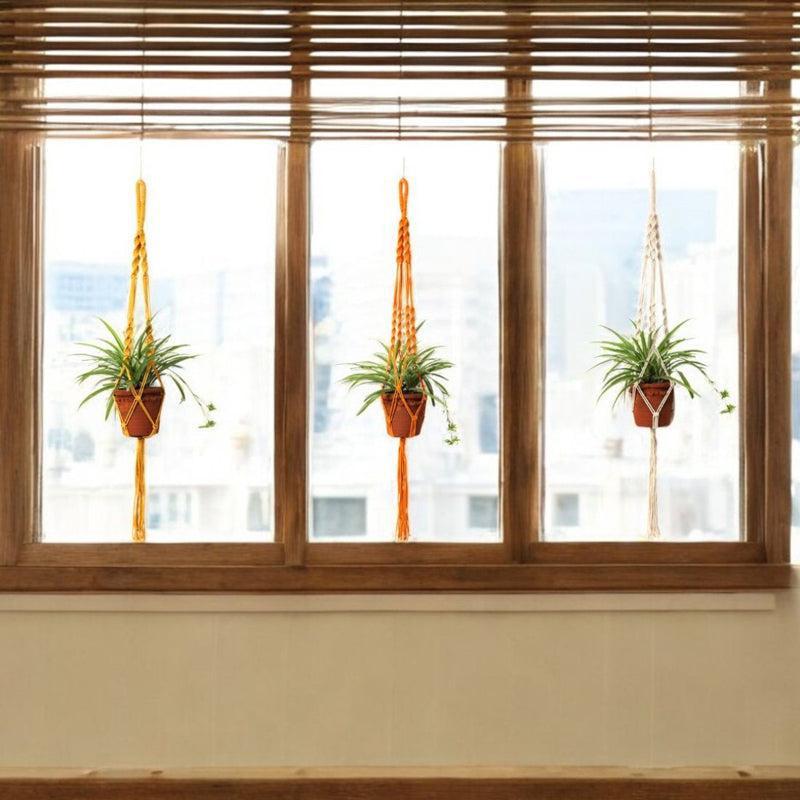 Boheme Botanica Macrame Hanging Planter - Set Of Three
