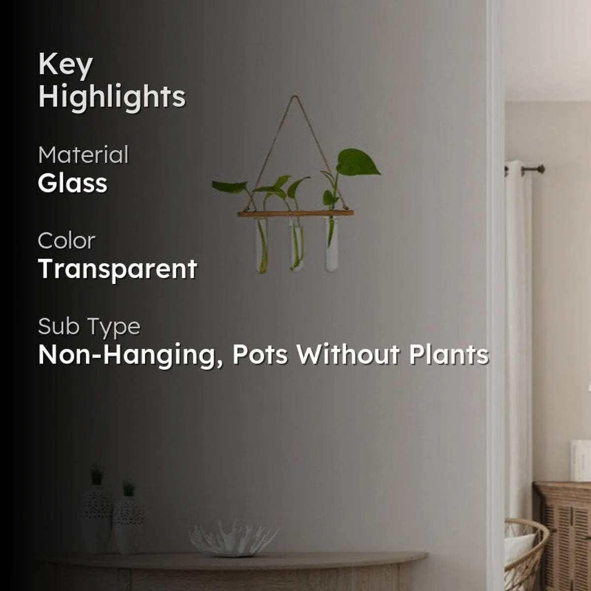 Hanging test tube planter shown against a light wall with a darkened product presentation