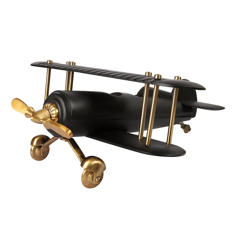 Raven Airplane Showpiece media 3
