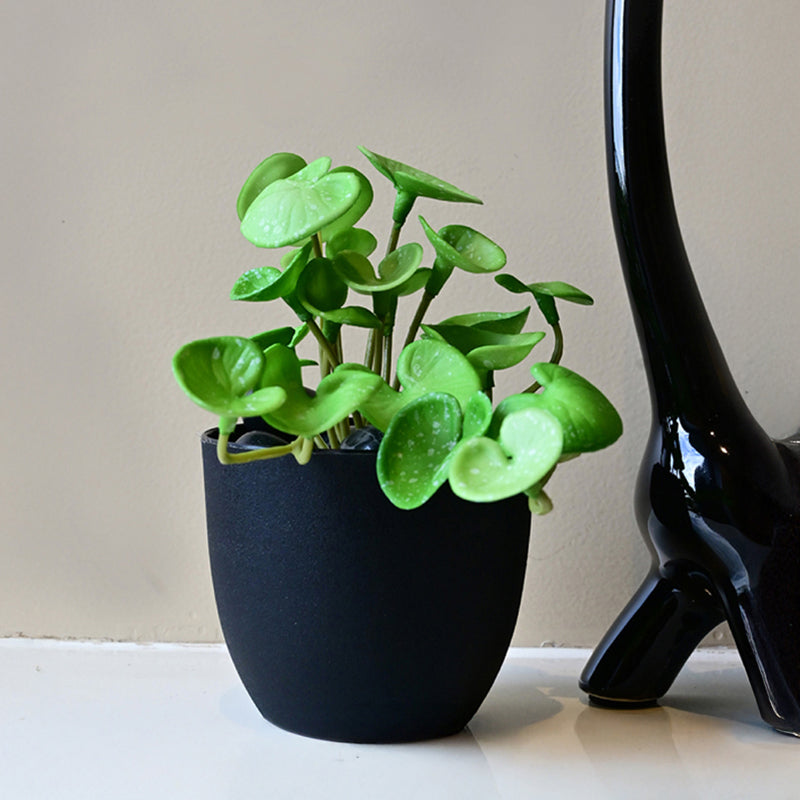 Pennelle Artificial Leaf Pennywort With Black Plastic Pot (Light Green) - 13 cm media 5