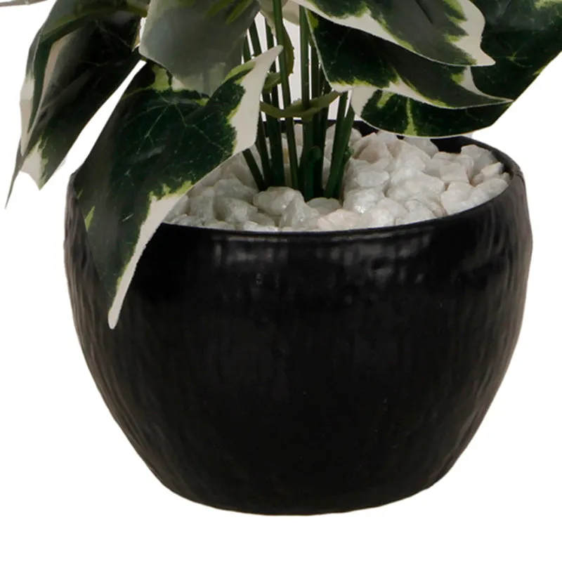 Ivelle Artificial Plant With Black Plastic Pot - Green & Green media 3