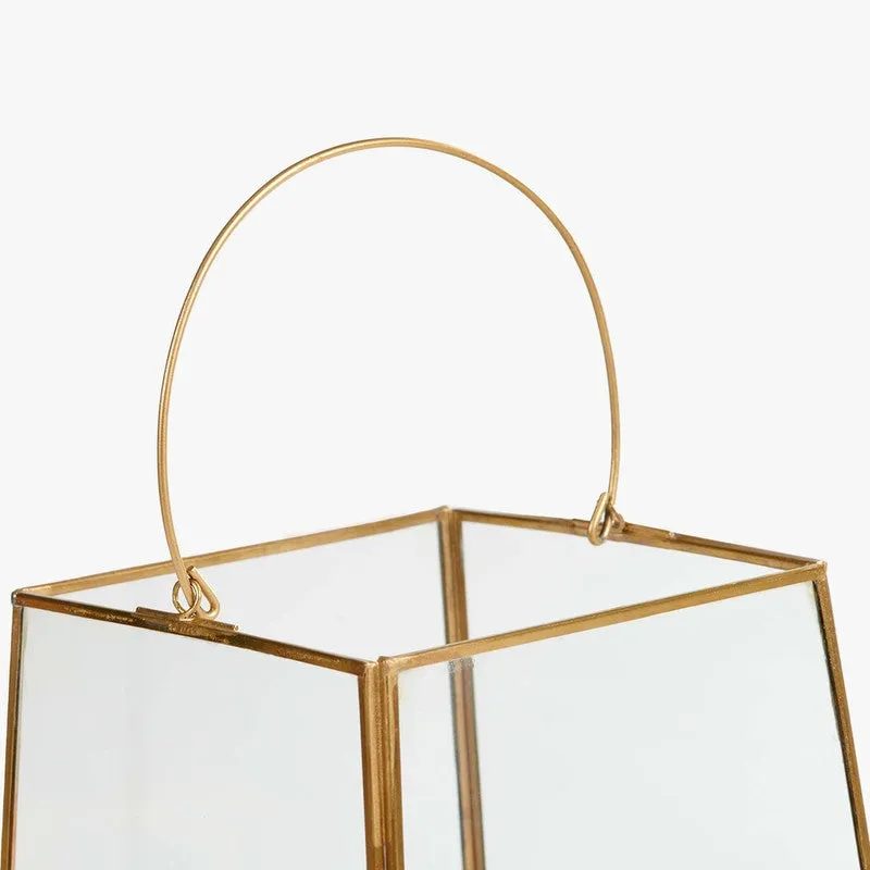 Orange Tree Anna Lantern media 5