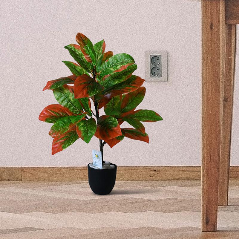 Faux Everlasting Croton Plant With Black Plastic Pot - 74 cm (2.4 ft) media 3