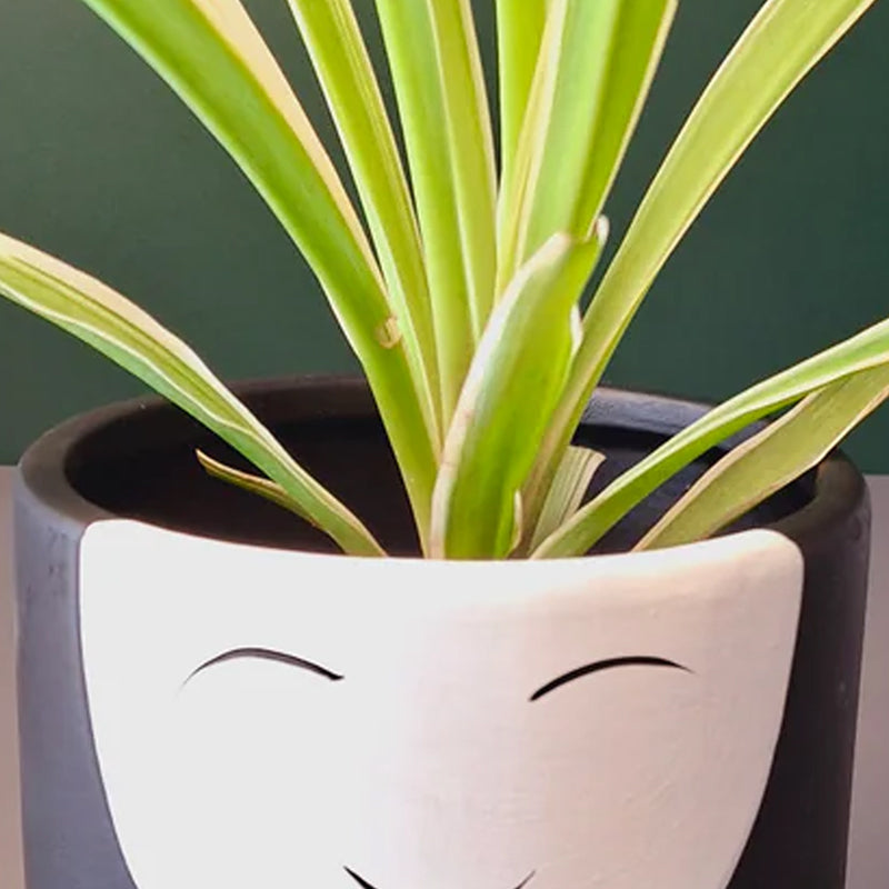 Visage Ceramic Planter - Black media 5