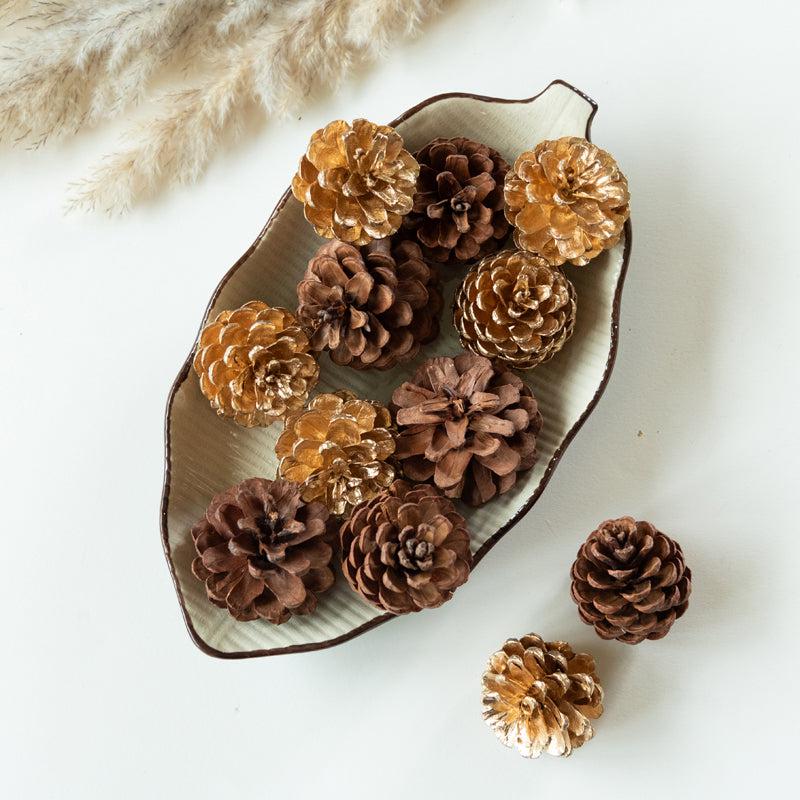 Ignatio Pine Cones - Set Of Ten