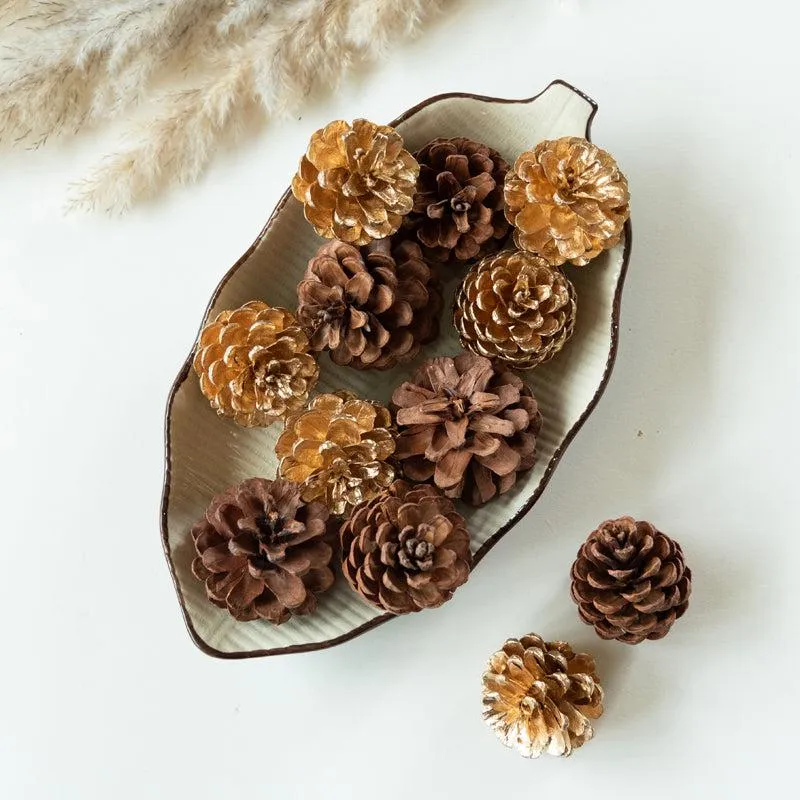 Ignatio Pine Cones - Set Of Ten media 1