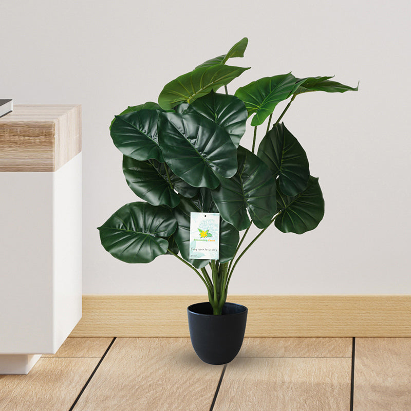 Faux Everlasting Cardinal Philodendron Plant With Black Plastic Pot - 74 cm (2.4 ft) media 3