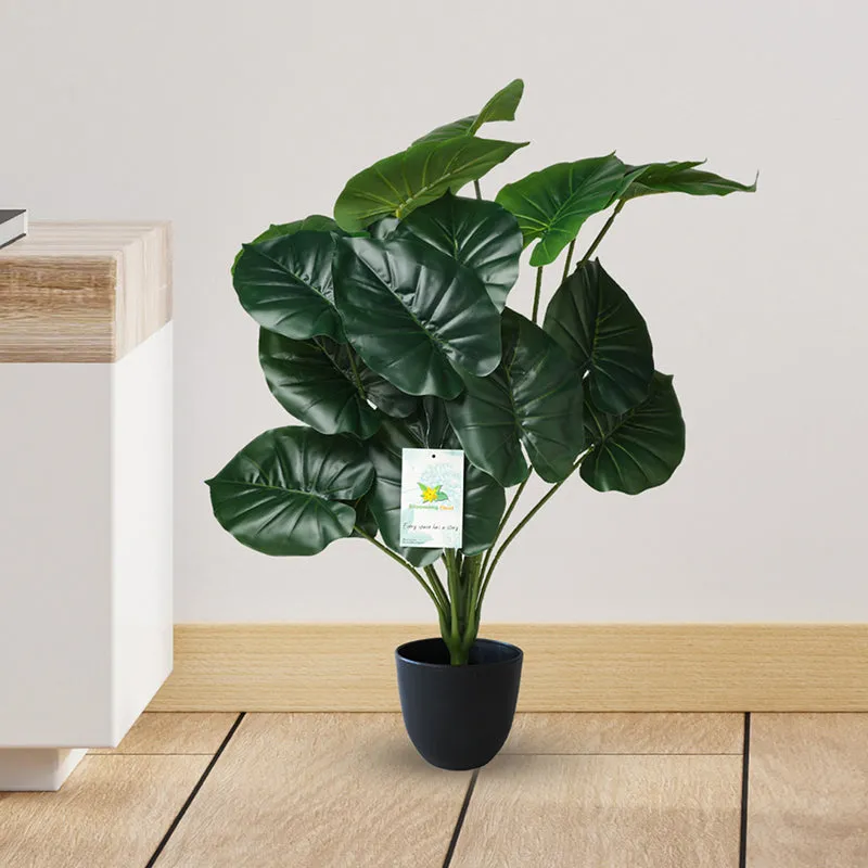 Faux Everlasting Cardinal Philodendron Plant With Black Plastic Pot - 74 cm (2.4 ft) media 3