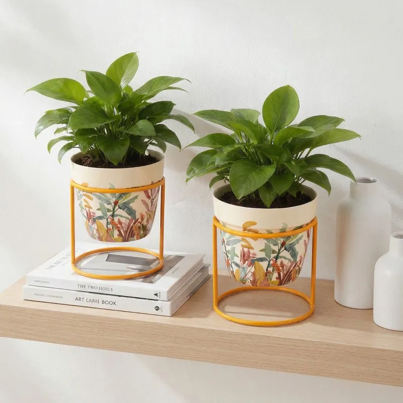 The Planter Nook Metal Planters With Stand - Four Piece Set media 3