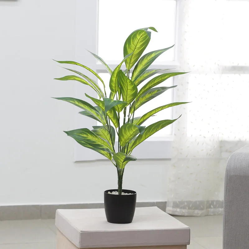 Faux Petra Corton Plant With Black Plastic Pot - 2.2 Feet media 5