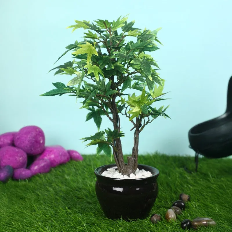 Artificial Green Bonsai Plant With Ceramic Pot - 1 Feet media 3