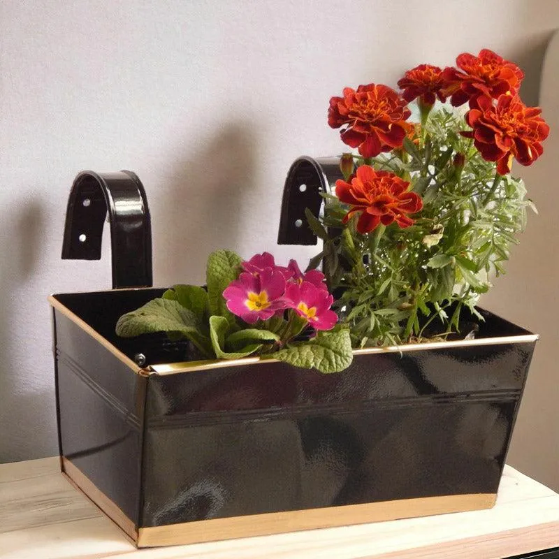 Adro Planter (Black) - Set Of Six media 6