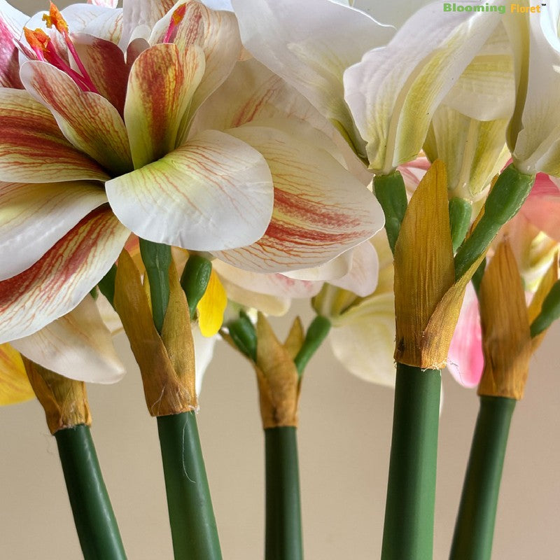 Amaryllis Artificial Floral Stems without Vase - Set of Five media 4