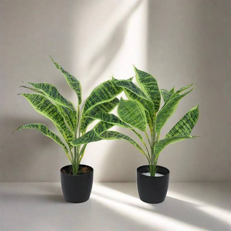 Faux Snake Plant With Black Plastic Pot (50 cms) - Set Of Two media 3