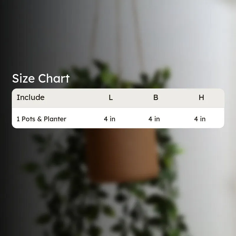 Rustic Charm Hanging Planter media 6