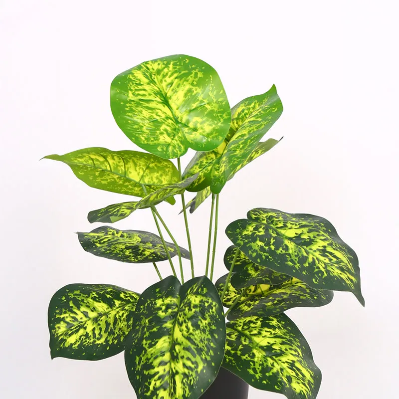 Differa Artificial Dieffenbachia Plant With Black Plastic Pot (1.8 Feet) - Yellow, Green media 4