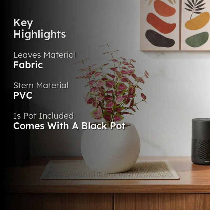 Artificial Coleous Plant With Black Fiber Pot (Pink) - 1 Feet media 2