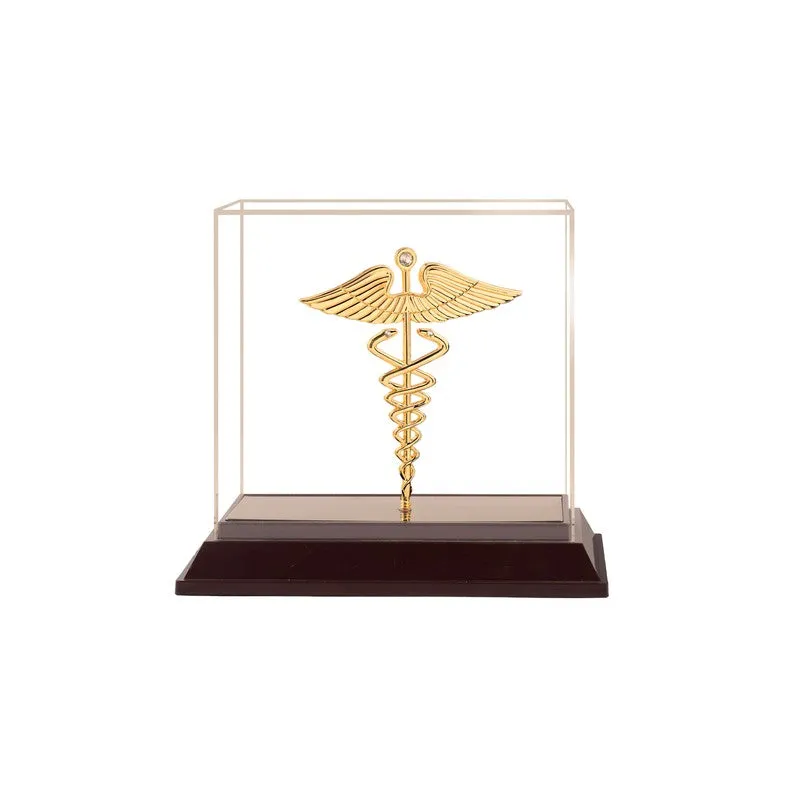 RoyalMedico 24K Gold Plated Mild Steel Showpiece media 4