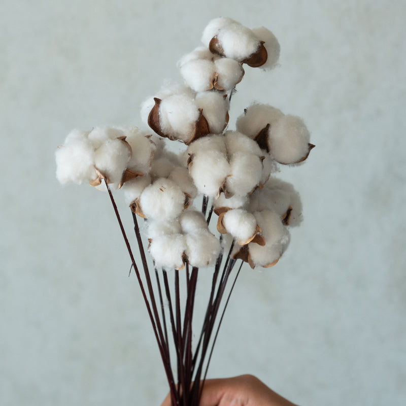 Yinitte Cotton Sticks - Set Of Fifteen media 3