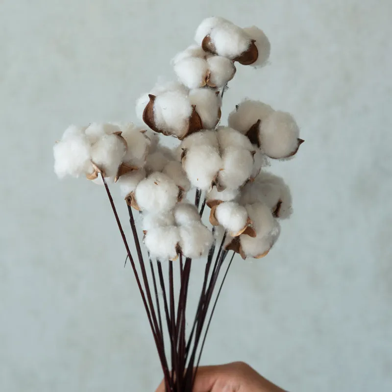 Yinitte Cotton Sticks - Set Of Fifteen media 3