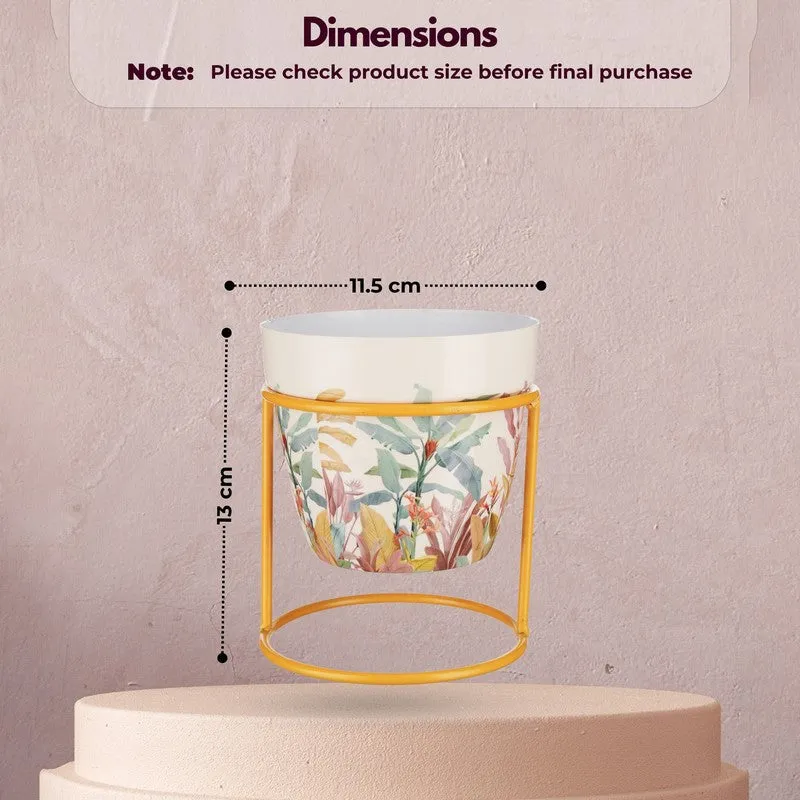 Vessel & Vine Metal Planters With Stand - Two Piece Set media 8