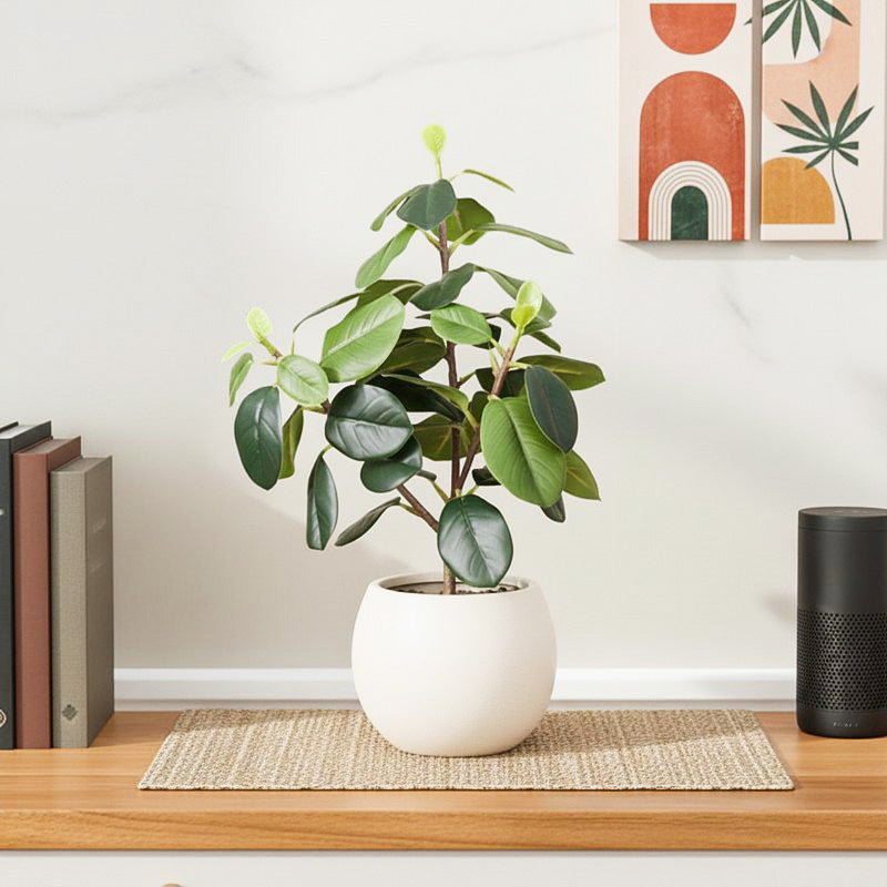 Artificial Dark Green Natural Looking Quercus Leaf Plant With Black Fiber Pot - 1.2 Feet