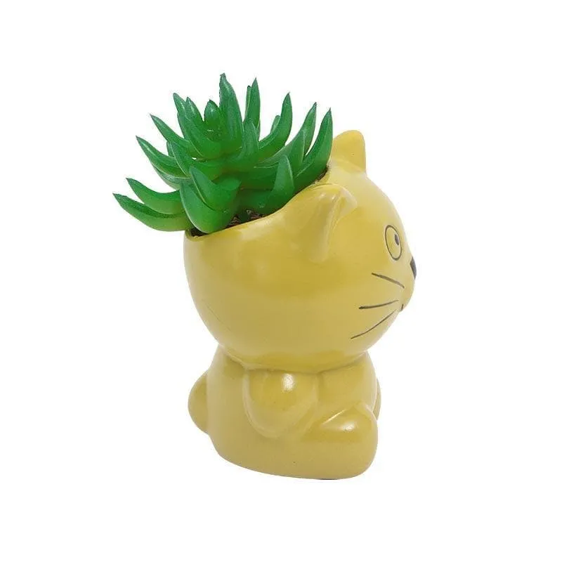 Faux Gasteria In Cat Face Pot - 13.5 cms media 3