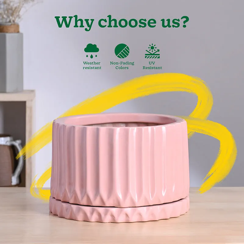 Ugaoo Stria Ceramic Planter - Pink media 7