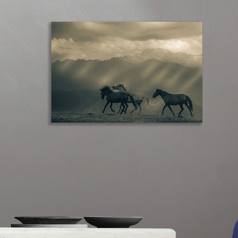 Without Frame