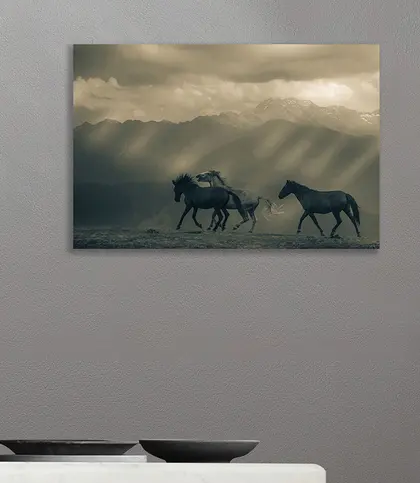 Cotton Canvas