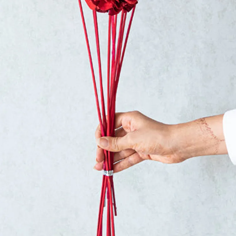 Meira Rose Sticks - Set Of Ten media 5