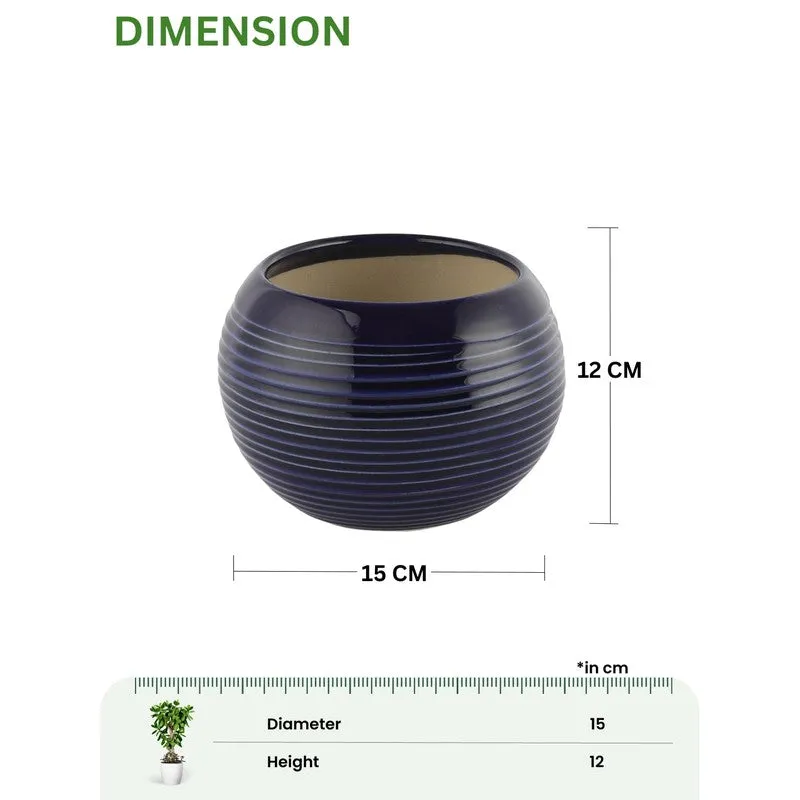 UrbanNest Pots & Planters Blue media 8
