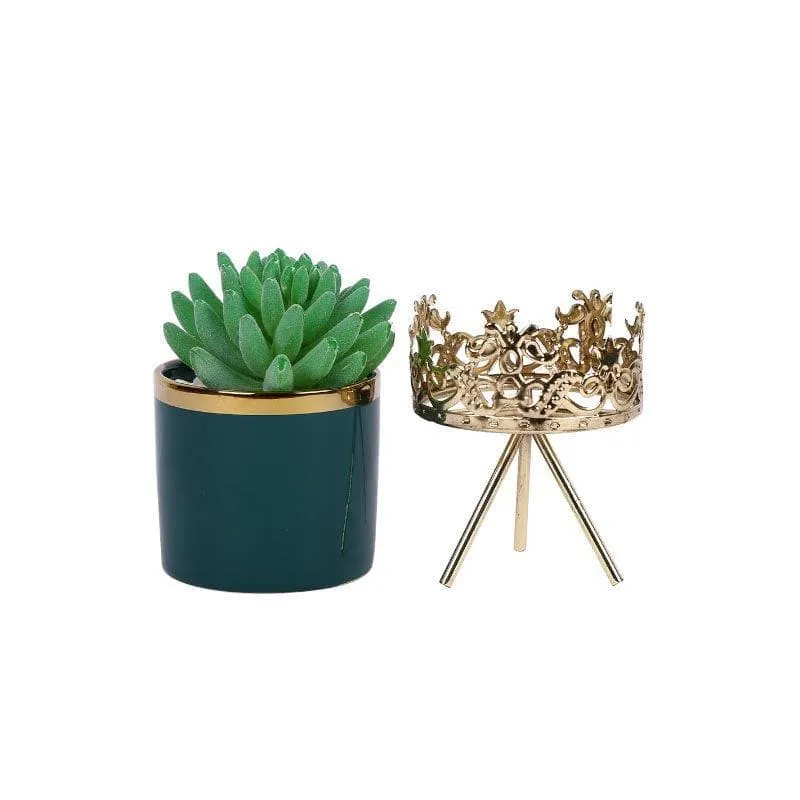 Faux Gasteria In Blue Ceramic Pot - 18 cms media 4