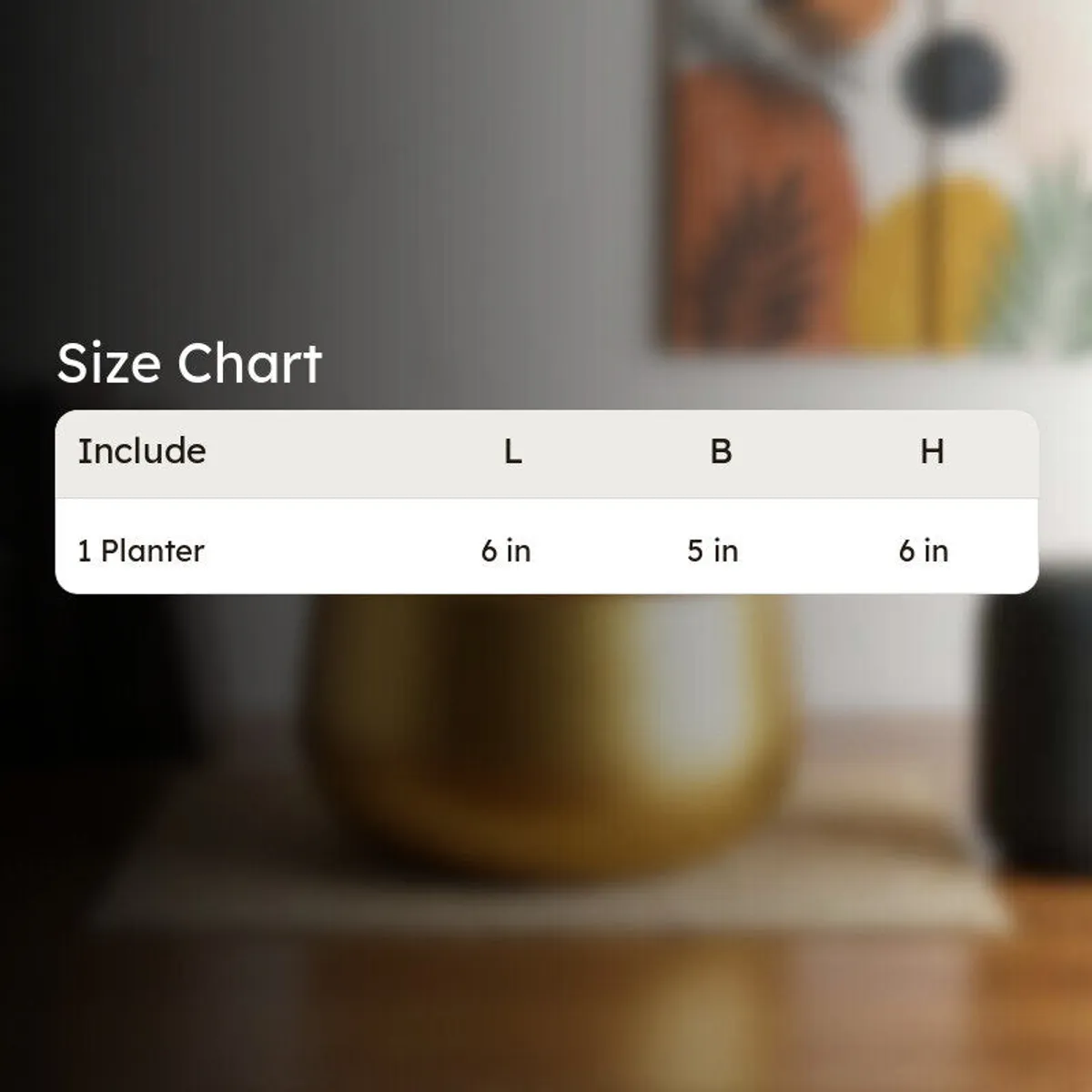 Gold planter size chart showing one planter