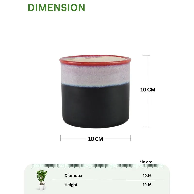 LuxeBloom Planter Collection - Set Of Two media 9