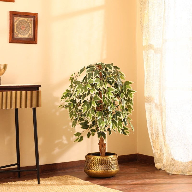 Artificial Variegated Ficus Plant With Black Plastic Pot - 4 ft media 5
