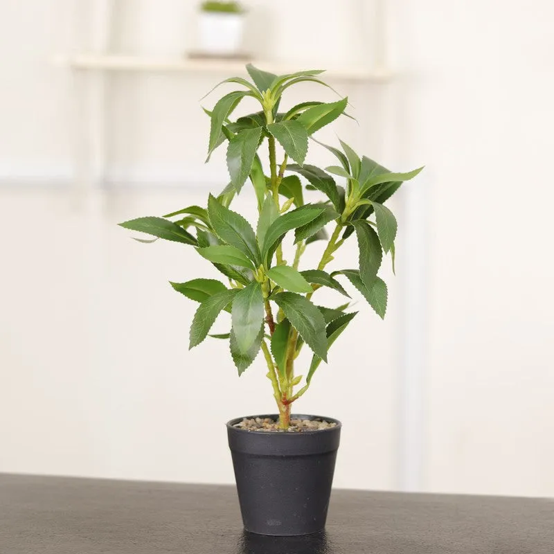 Artificial Indian Lilac Leaf Plant With Black Fiber Pot - 1.3 Feet media 5