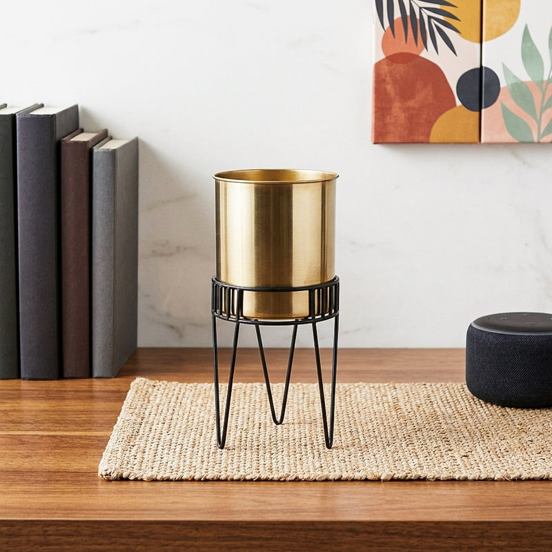 Zenva Stainless Steel Planter - Gold & Black