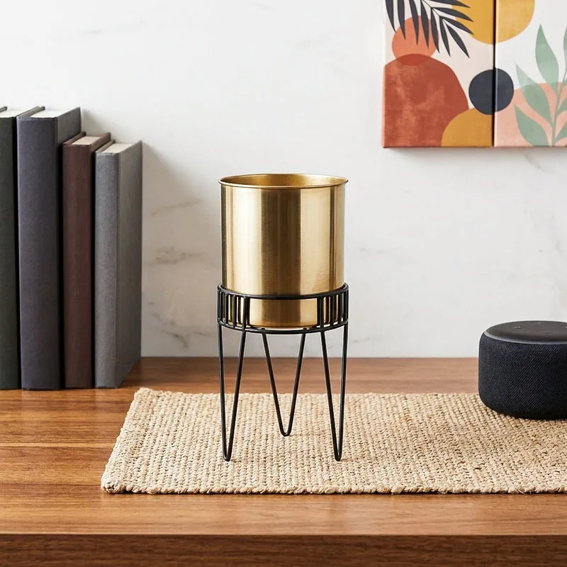 Zenva Stainless Steel Planter - Gold & Black media 1
