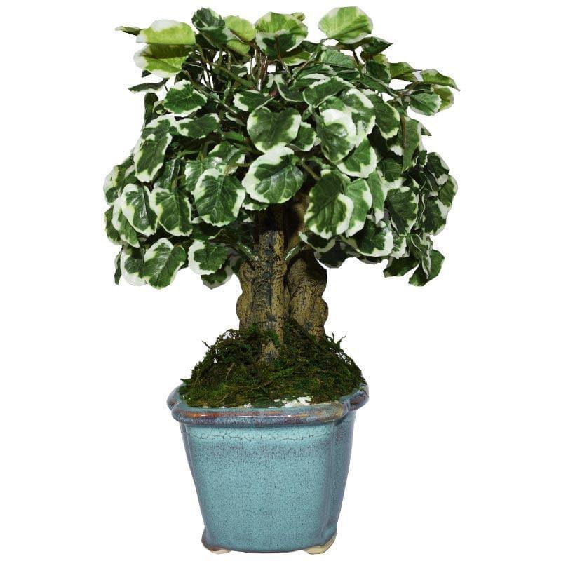 Faux Polyscia Bonsai In Tub Pot - 34 cms media 3