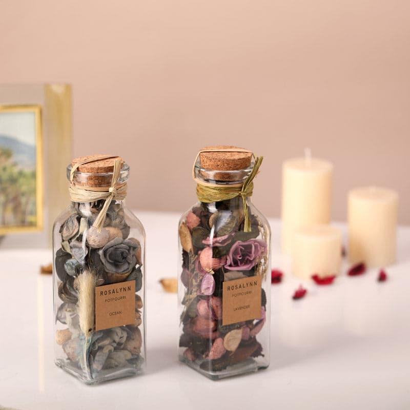 Glass · Dried Flowers & Leaves