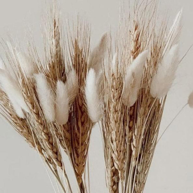 Faux Wheat Grass And Bunny Tails Bunch - Set Of Thirty media 4