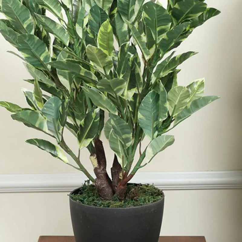 Artificial Quercus Plant Without Pot - 2.2 Feet media 4